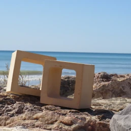 celosia ambientada en la playa