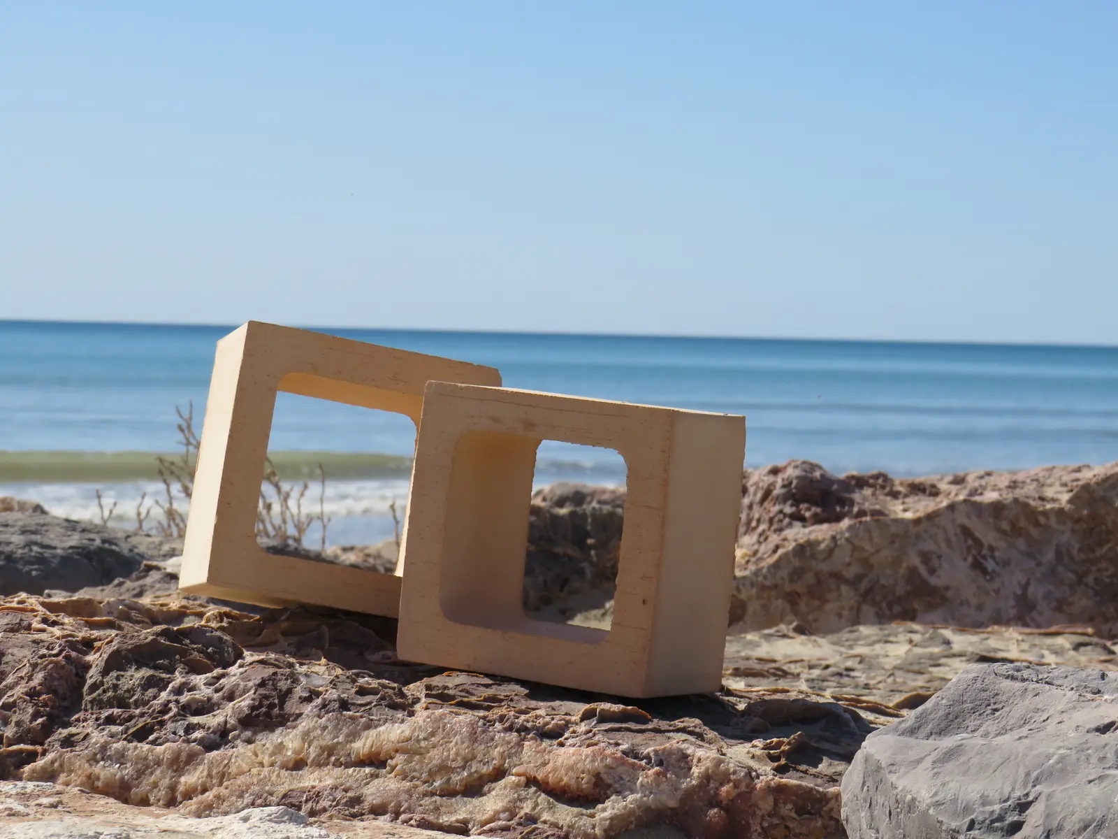 celosia ambientada en la playa